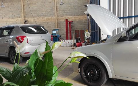 linha flores